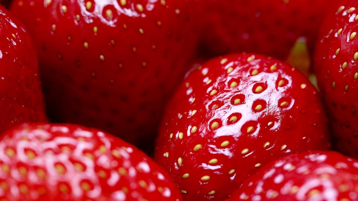 Foods That Support Strong Teeth and Gums